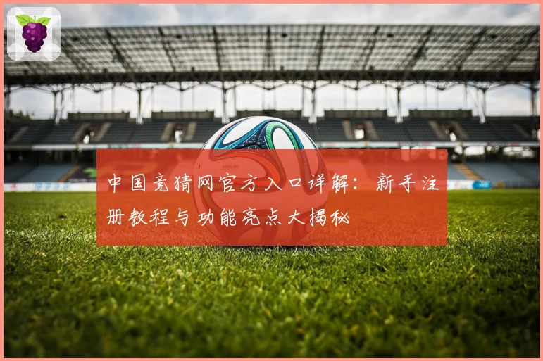 中国竞猜网官方入口详解：新手注册教程与功能亮点大揭秘