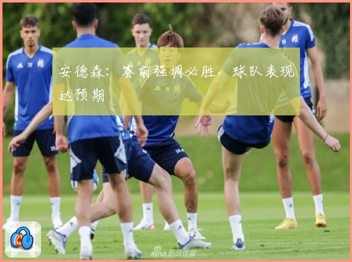 安德森:赛前强调必胜,球队表现达预期