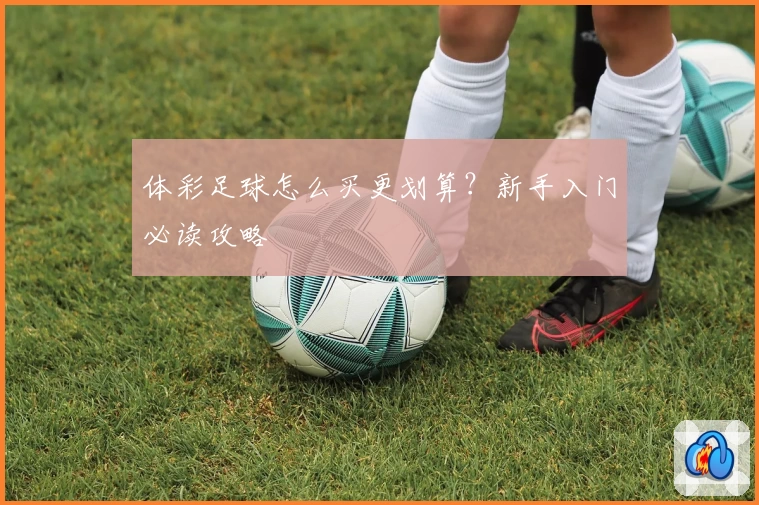 体彩足球怎么买更划算？新手入门必读攻略