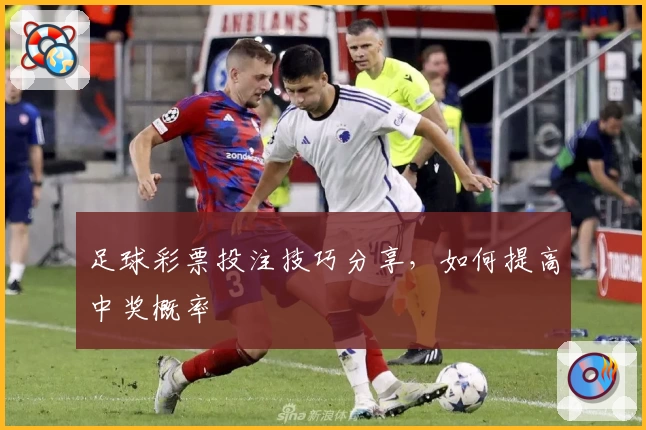 足球彩票投注技巧分享，如何提高中奖概率
